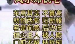 吃瓜爆料风水大师说,吃瓜爆料中的风水大师之谜